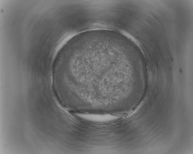 X0000071861415200607211906