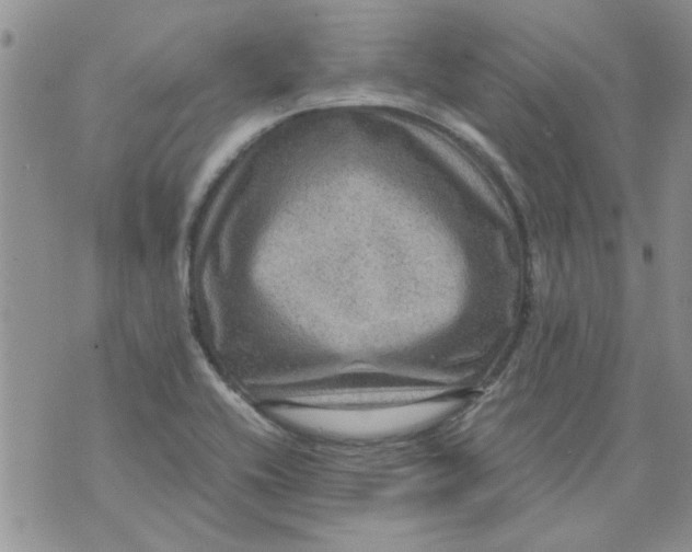 X0000071861416200607211906