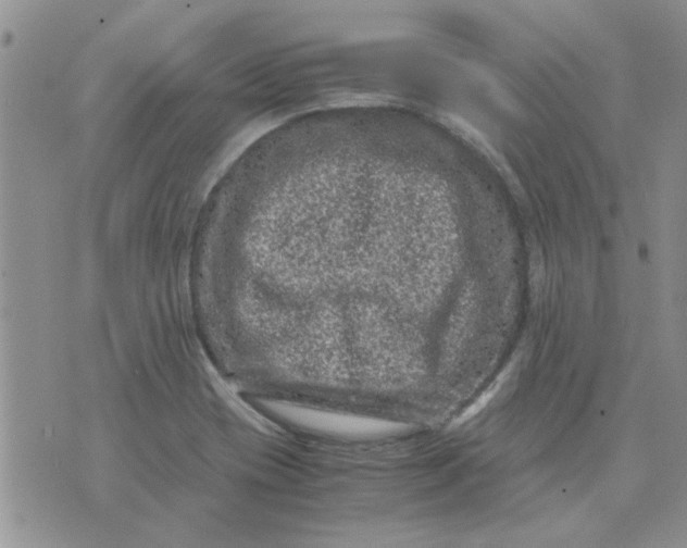 X0000071861417200607211906