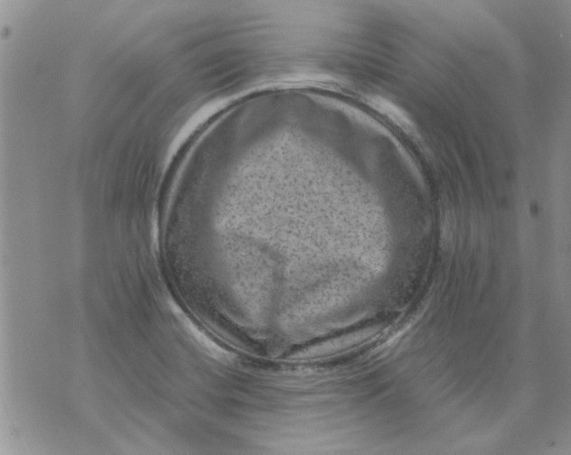 X0000071861420200607211906