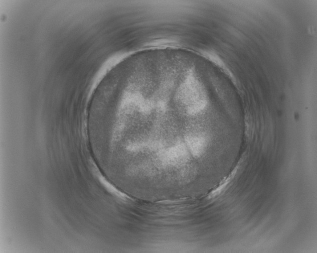 X0000071861421200607211906