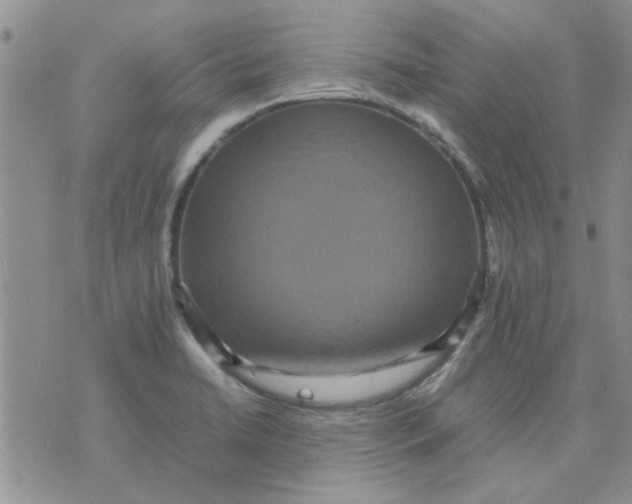 X0000071861422200607211906