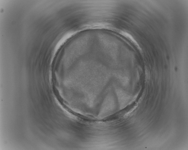 X0000071861424200607211906