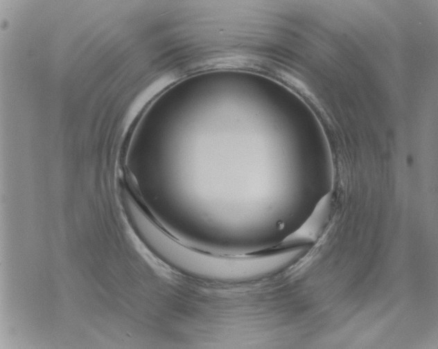 X0000071861426200607211906