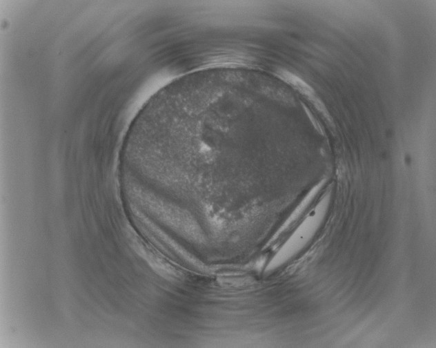 X0000071861427200607211906