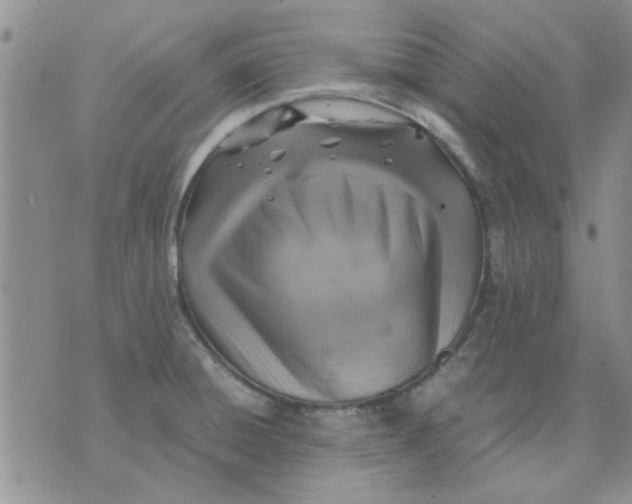 X0000071861428200607211906