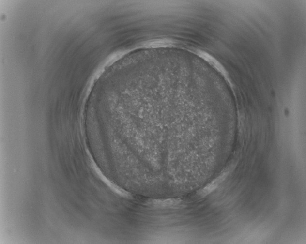 X0000071861429200607211906