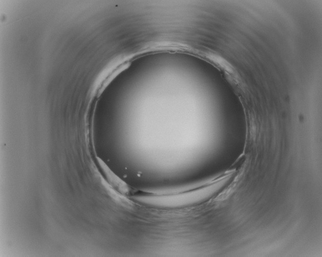 X0000071861430200607211906