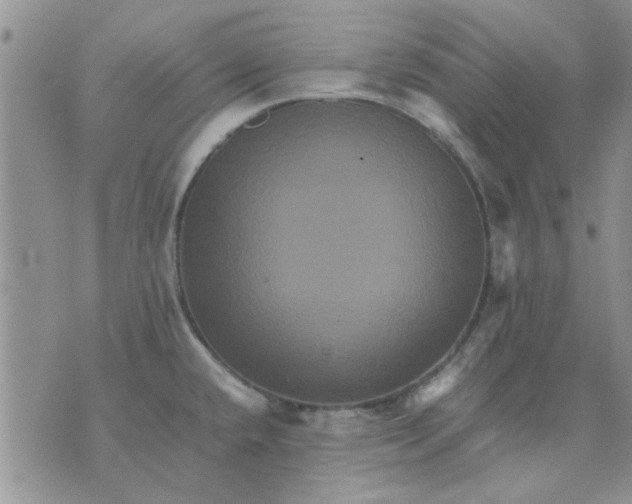 X0000071861432200607211906