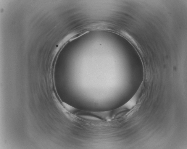 X0000071861434200607211906