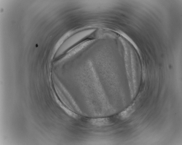 X0000071861437200607211906