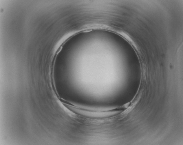 X0000071861438200607211906