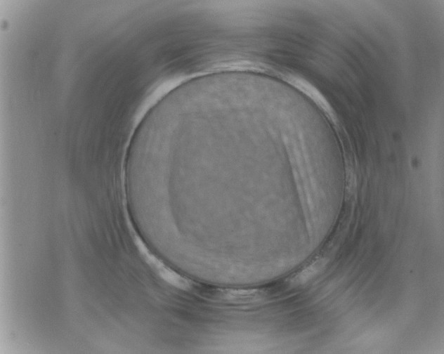 X0000071861439200607211906