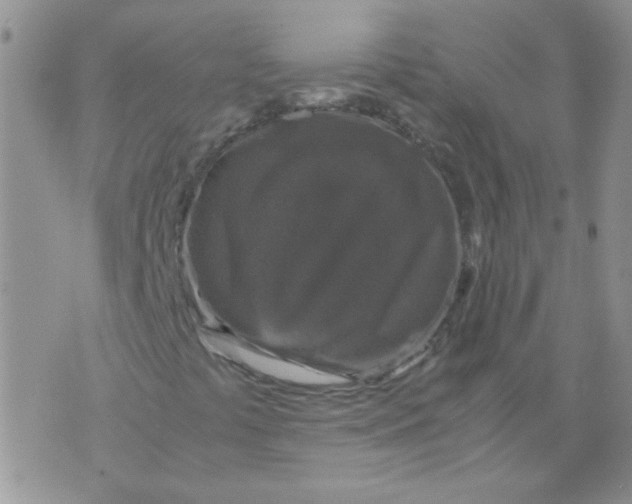 X0000071861441200607211905