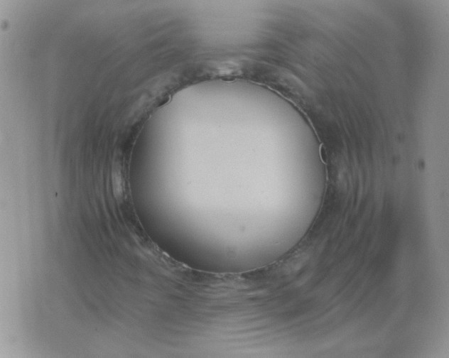 X0000071861442200607211905