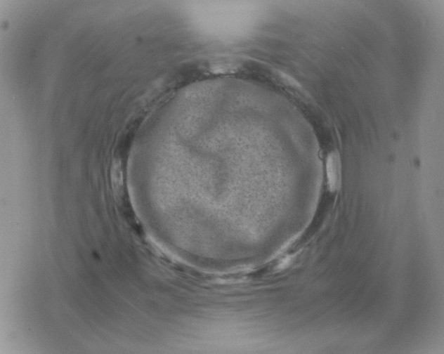 X0000071861443200607211905