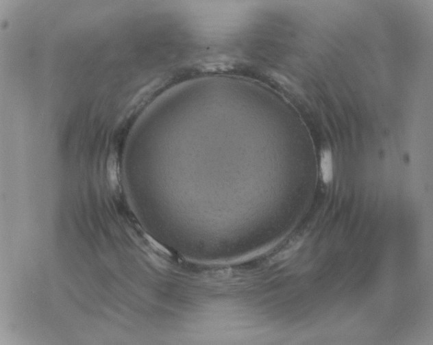 X0000071861444200607211905