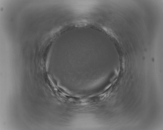 X0000071861445200607211905