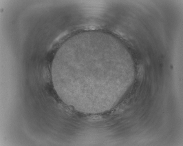 X0000071861446200607211905