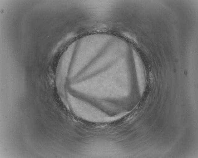 X0000071861447200607211905