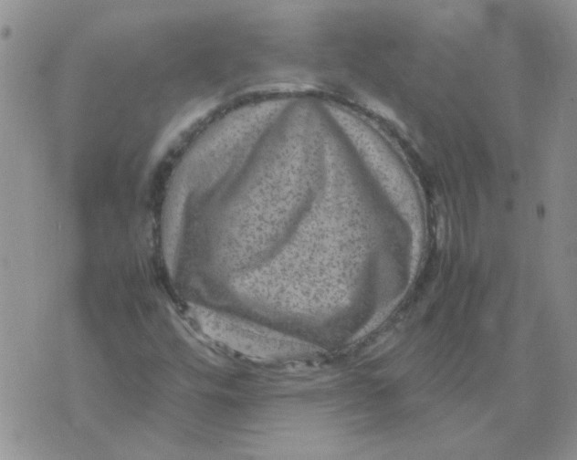 X0000071861448200607211905