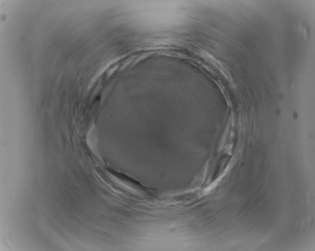 X0000071861449200607211905