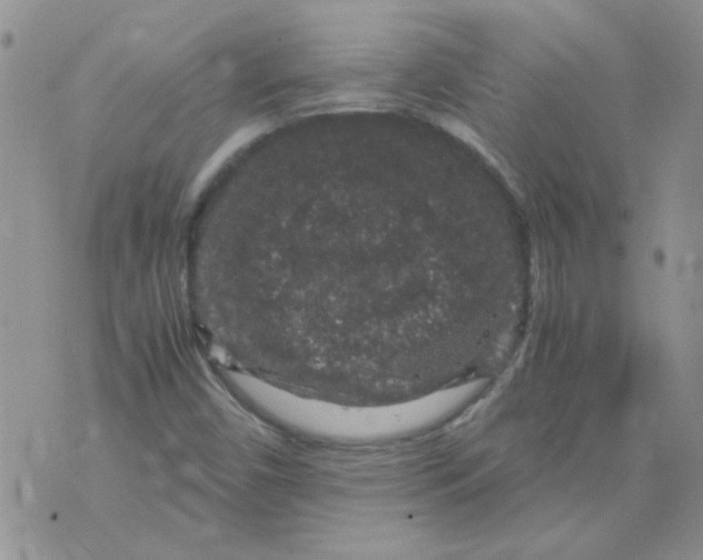 X0000071861450200607211905