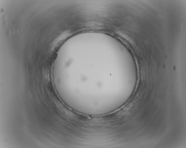 X0000071861451200607211905