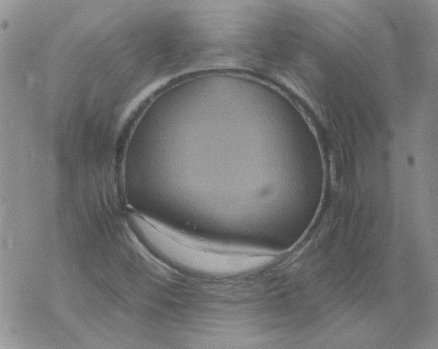 X0000071861452200607211905