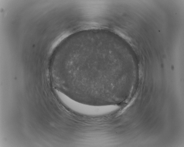 X0000071861453200607211905