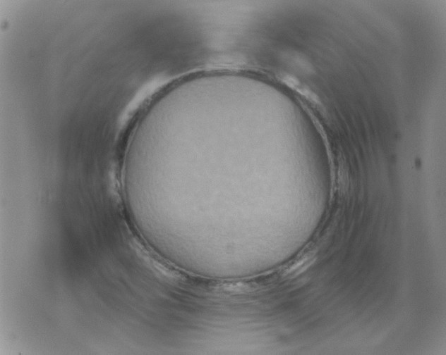 X0000071861454200607211905