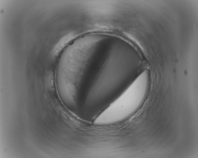 X0000071861455200607211905