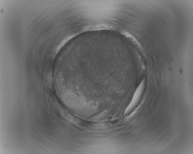 X0000071861457200607211905