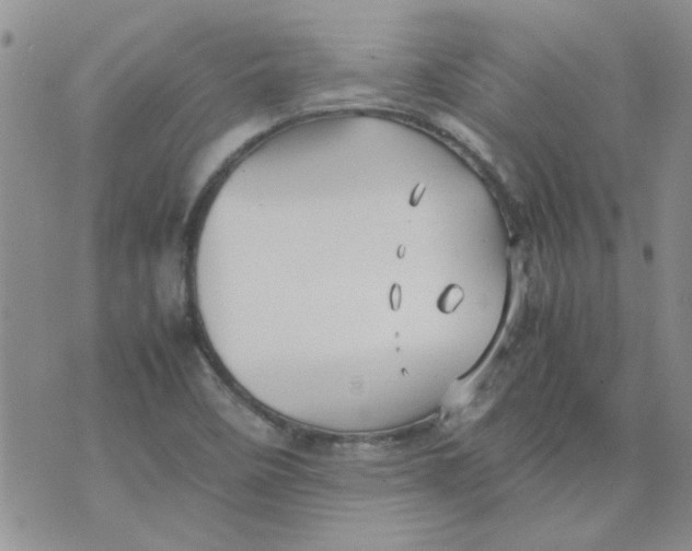 X0000071861458200607211905