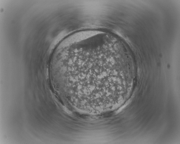 X0000071861459200607211905