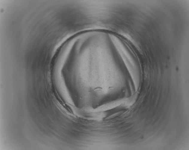 X0000071861460200607211905