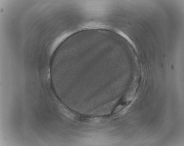 X0000071861461200607211905