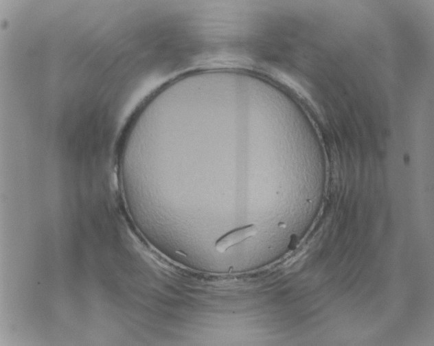 X0000071861462200607211905