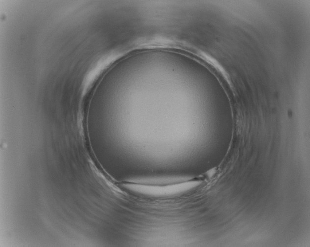 X0000071861464200607211905