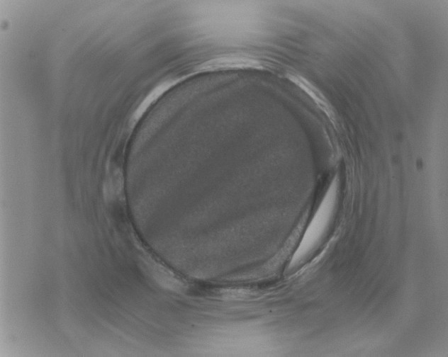 X0000071861465200607211905