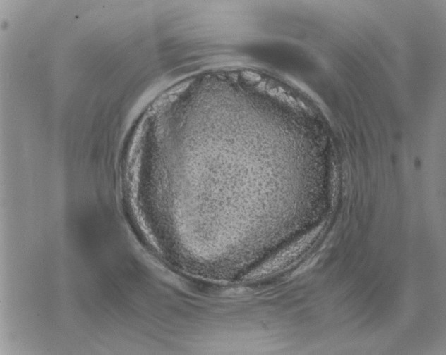 X0000071861467200607211905