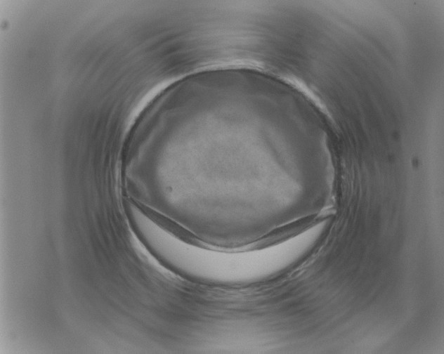 X0000071861468200607211905