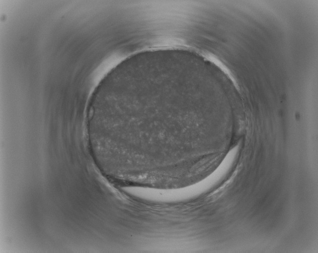 X0000071861469200607211905