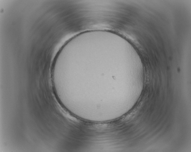 X0000071861470200607211905