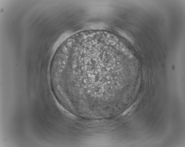 X0000071861471200607211905