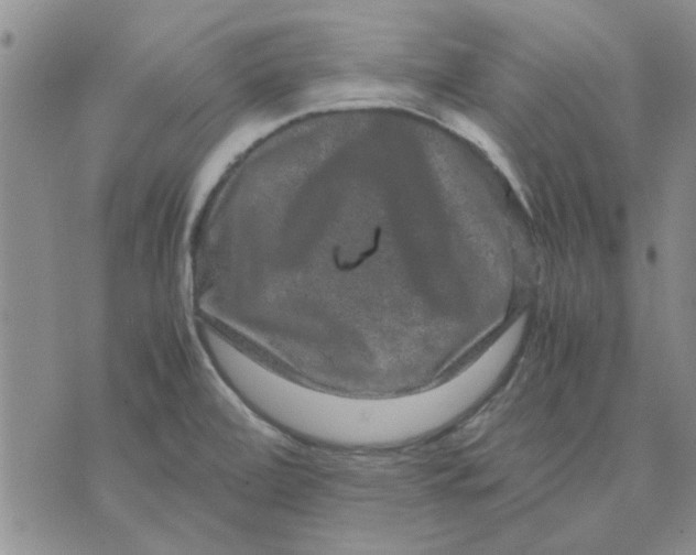 X0000071861472200607211905