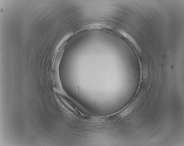 X0000071861473200607211905