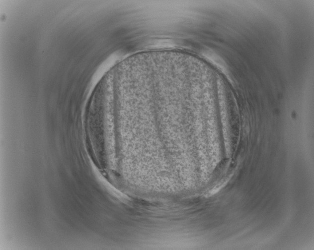 X0000071861475200607211905