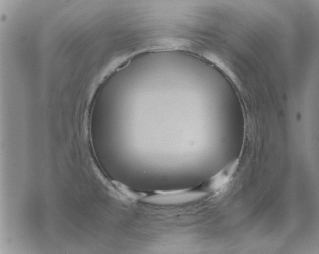 X0000071861477200607211905