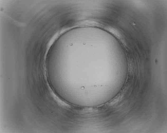 X0000071861478200607211905